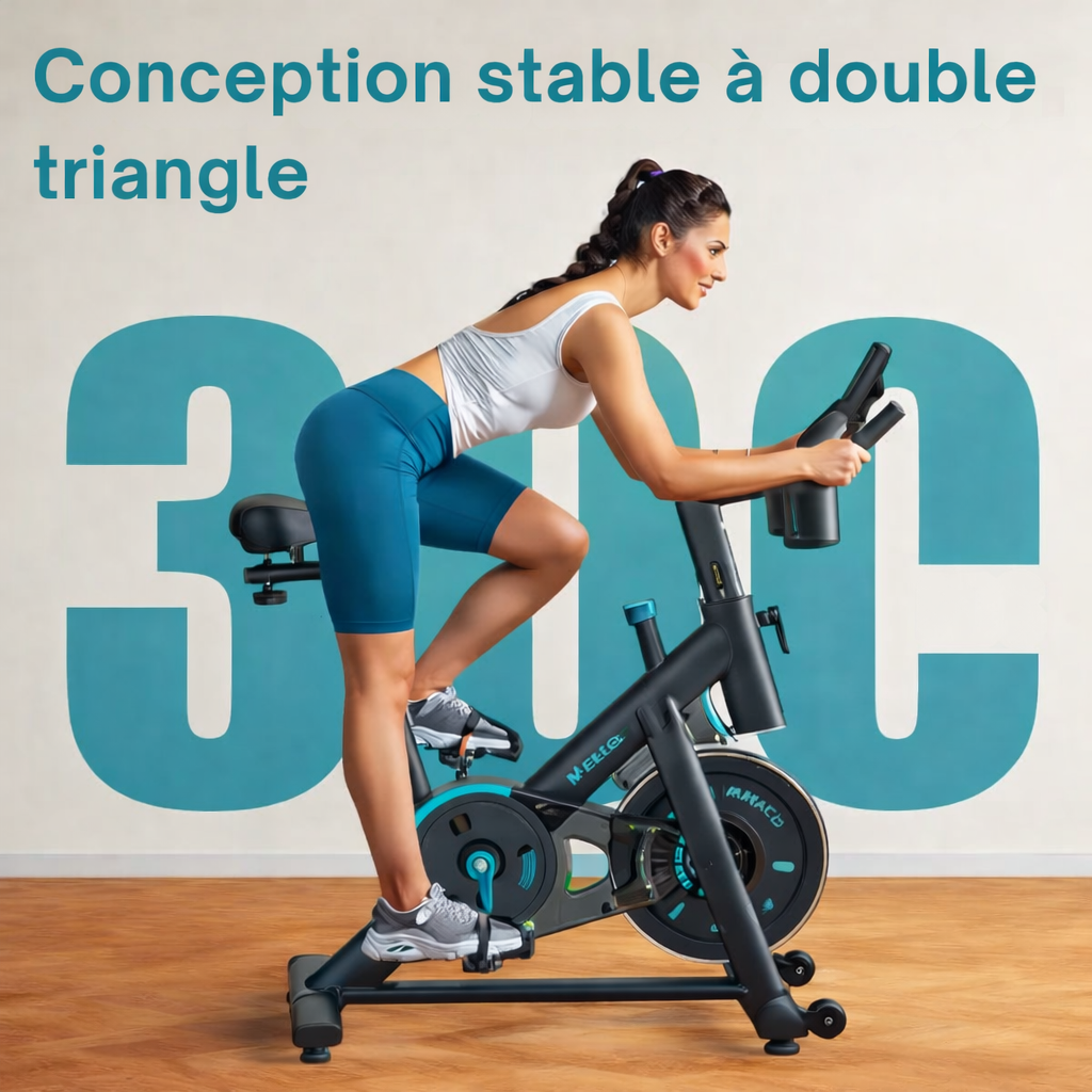 Système de résistance magnétique à 8 niveaux du vélo S1