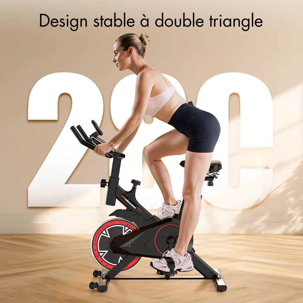 Structure double triangle stable du vélo K101 supportant 127 kg